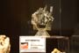 Expomineral 2012