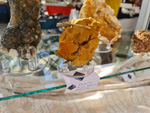 III Feria de Minerales Bella Jarifa