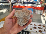 III Feria de Minerales Bella Jarifa