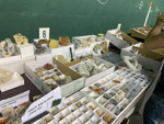 XIII  Feria de Minerales de Colmenar Viejo