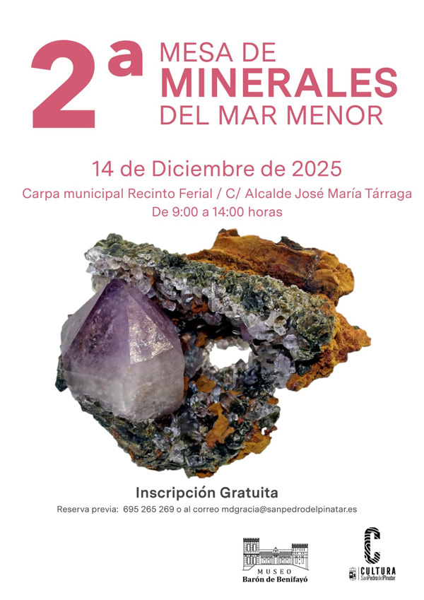 2ª Mesa de Minerales del Mar Menor