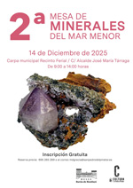 2ª Mesa de Minerales del Mar Menor
