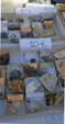 XII Mesa de Intercambio de MInerales de Alicante