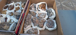 XI Mesa de Intercambio de MInerales de Alicante