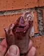 Excusión de mineralogía a Badajoz