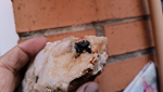 Excusión de mineralogía a Badajoz