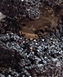 Excusión de mineralogía a Badajoz