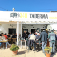 Excusión a Rodalquilar. Almería