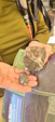 Excusión al Pais Vasco