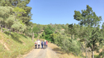 Almuradiel (Ciudad Real) y a La Carolina (Jaén) 