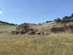 Almuradiel (Ciudad Real) y a La Carolina (Jaén) 