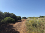 Almuradiel (Ciudad Real) y a La Carolina (Jaén) 