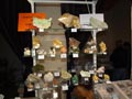 XX feria de Minerales y fosiles de la Union.
