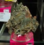 XX feria de Minerales y fosiles de la Union.