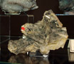 XXI Feria de Minerales de la Unión. Stand de Pablo José Olivares Olivares