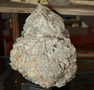 XXI Feria de Minerales de la Unión. Stand de Juan Llorente Gómez