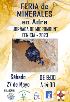 
               VI Jornada de Micromount. La ALquería 2023