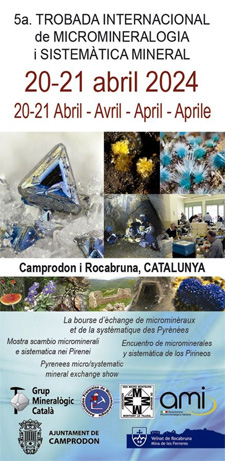 
               5ªTROBADA INTERNACIONAL DE MICROMINERALOGIA I SISTEMÁTICA MINERAL 