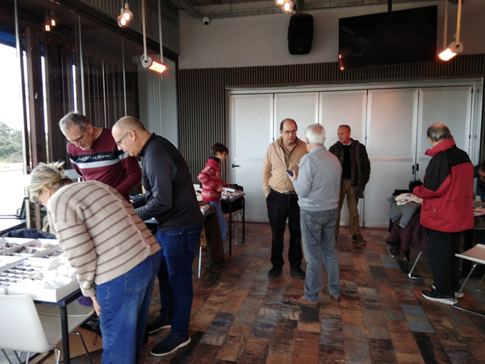 Web del Grupo Mineralogista de Madrid