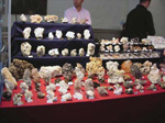 FEM. X Feria de Minerales y Fósiles de La Unión