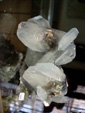 FEM. X Feria de Minerales y Fósiles de La Unión