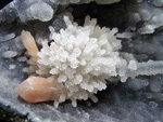 FEM. X Feria de Minerales y Fósiles de La Unión