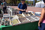 GMA. VIII Mesa de Venta e intercambio de Minerales de Colmenar