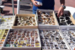 GMA. VIII Mesa de Venta e intercambio de Minerales de Colmenar