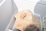 GMA. VIII Mesa de Venta e intercambio de Minerales de Colmenar