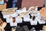 GMA. VIII Mesa de Venta e intercambio de Minerales de Colmenar