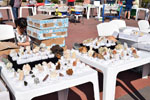 GMA. VIII Mesa de Venta e intercambio de Minerales de Colmenar