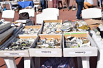 GMA. VIII Mesa de Venta e intercambio de Minerales de Colmenar