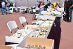 GMA. VIII Mesa de Venta e intercambio de Minerales de Colmenar