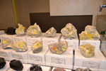 GMA. MINERALIA´s SEVILLA. XXXIExposición-Bolsa Internacional de Minerales, Fósiles y Gemas