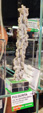 MineralExpo Barcelona Sants