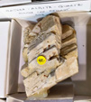 MineralExpo Barcelona Sants