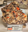 MineralExpo Barcelona Sants