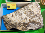 MineralExpo Barcelona Sants