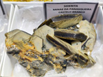 MineralExpo Barcelona Sants