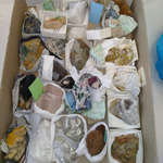   X Mesa de Intercambio de Minerales, Fósiles y Rocas Villa de Bembibre 2022 