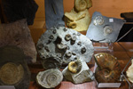 GMA. MINERVAL 2022. 35º Feria de Minerales, Fósiles y Gemas.