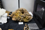 GMA. MINERVAL 2022. 35º Feria de Minerales, Fósiles y Gemas.