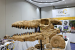 GMA. MINERVAL 2022. 35º Feria de Minerales, Fósiles y Gemas.
