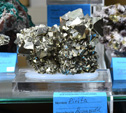 GMA. MINERVAL 2022. 35º Feria de Minerales, Fósiles y Gemas.