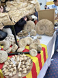 GMA. MINERVAL 2022. 35º Feria de Minerales, Fósiles y Gemas.