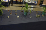 GMA. 9ª Fira de Minerals D´Oliva. 