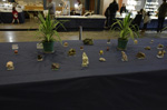 GMA. 9ª Fira de Minerals D´Oliva. 
