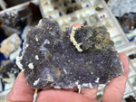 GMA. 9ª Fira de Minerals D´Oliva. 