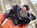 GMA. 9ª Fira de Minerals D´Oliva. 