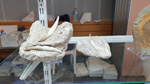 GMA. 9ª Fira de Minerals D´Oliva. 